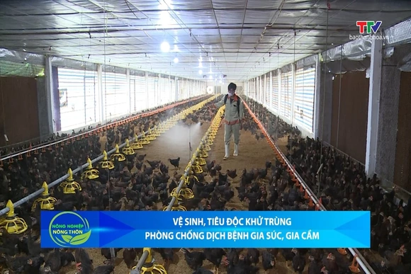 Bản tin Nông nghiệp - Nông thôn ngày 12/8/2026