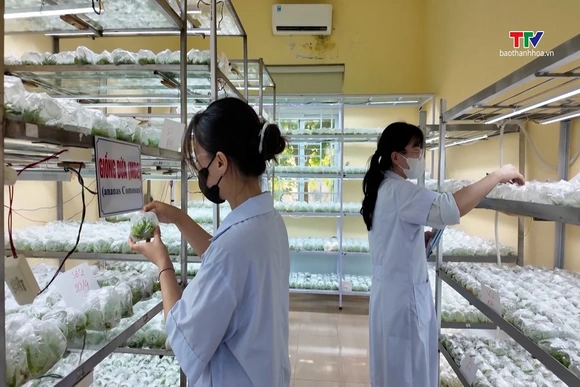 Tuổi trẻ UBND tỉnh lan tỏa sức sáng tạo và tinh thần cống hiến