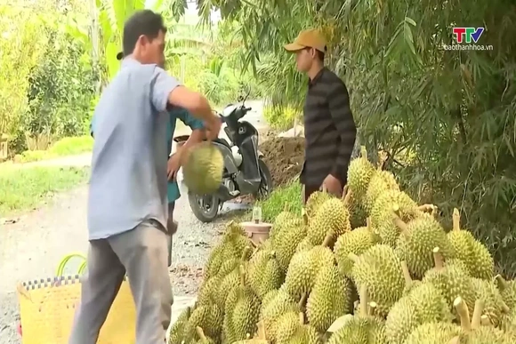 50 cơ sở kiểm nghiệm được Tổng cục Hải quan Trung Quốc chấp nhận phục vụ xuất khẩu mít, sầu riêng