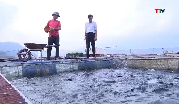 Phát triển hơn 1.730 ô lồng nuôi cá trên hồ thủy lợi, thủy điện