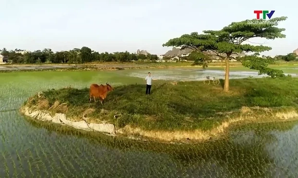 Nợ quê- Khúc hát về nghĩa tình quê mẹ