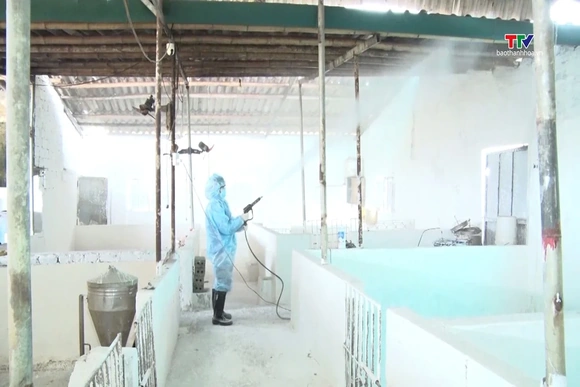 Dịch bệnh trên đàn gia súc, gia cầm cơ bản được kiểm soát