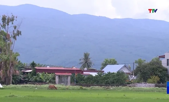 Phê duyệt chủ trương đầu tư Dự án xây dựng cơ sở dữ liệu đất đai tỉnh Thanh Hóa