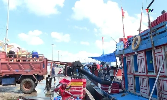 Vi phạm quy định về tàu cá, cảng cá, khu neo đậu tránh trú bão cho tàu cá