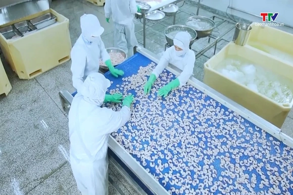 Thị trường xuất khẩu tôm vẫn gặp khó khăn trong những tháng cuối năm