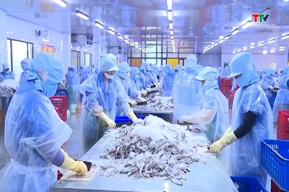Xuất khẩu thủy sản Thanh Hóa duy trì đà tăng trưởng ổn định