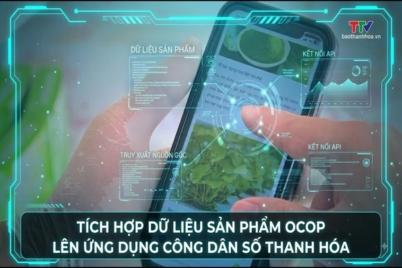 Tích hợp dữ liệu sản phẩm OCOP lên ứng dụng công dân số Thanh Hóa