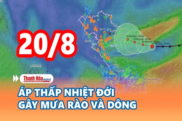 Cảnh báo thiên tai và thời tiết ngày 20/8/2026