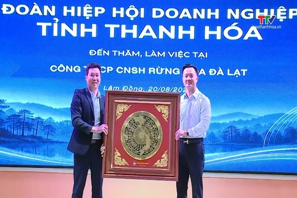 Thúc đẩy liên kết, hợp tác doanh nghiệp giữa Thanh Hóa và Lâm Đồng