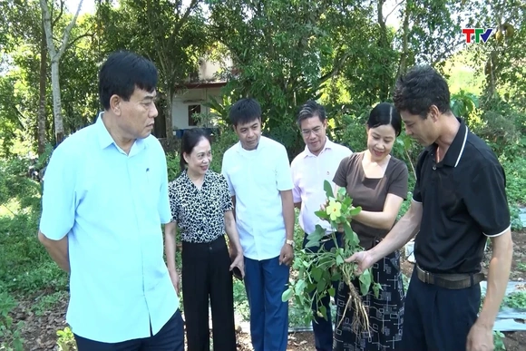 Kết quả hoạt động tín dụng chính sách xã hội trên địa bàn tỉnh