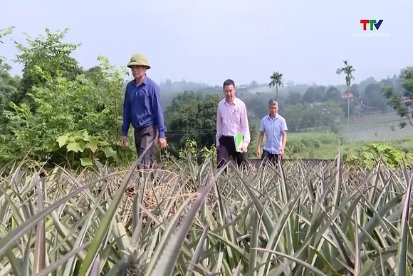 Vốn tín dụng tiếp sức giải quyết việc làm tại địa phương