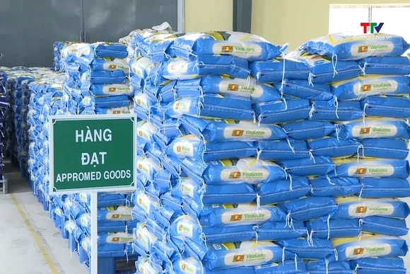 Gạo giữ nhịp xuất khẩu, lúa giữ giá tại ruộng