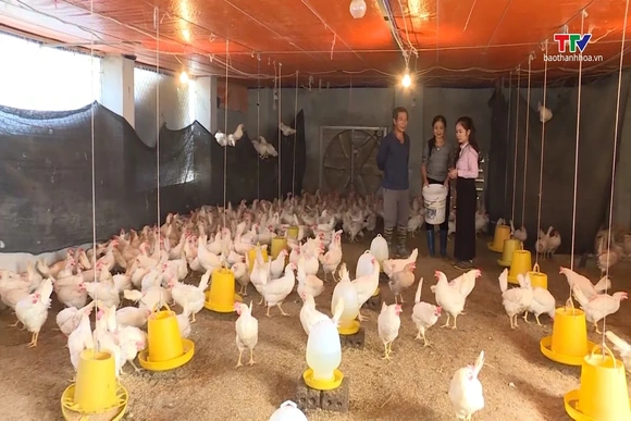 Hơn 478.000 khách hàng vay vốn phục vụ chương trình xây dựng nông thôn mới