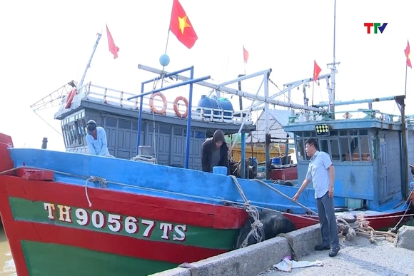 Đảm bảo hạ tầng âu neo đậu tàu thuyền mùa mưa bão