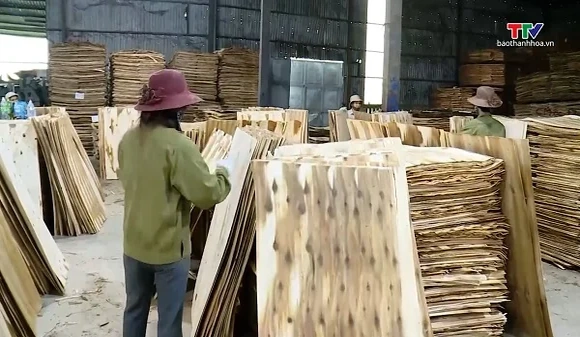Tín chỉ carbon - Giá trị không chỉ ở nguồn thu
