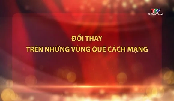 Đảng trong cuộc sống ngày 20/8/2026