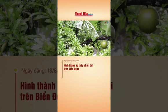 Hình thành áp thấp nhiệt đới trên Biển Đông