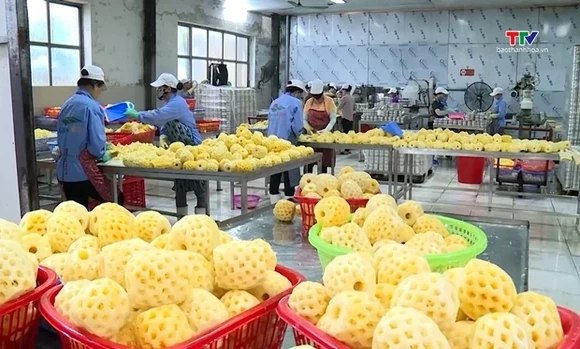 Tổng giá trị xuất khẩu tháng 8/2026 tăng 15,7% so với cùng kỳ