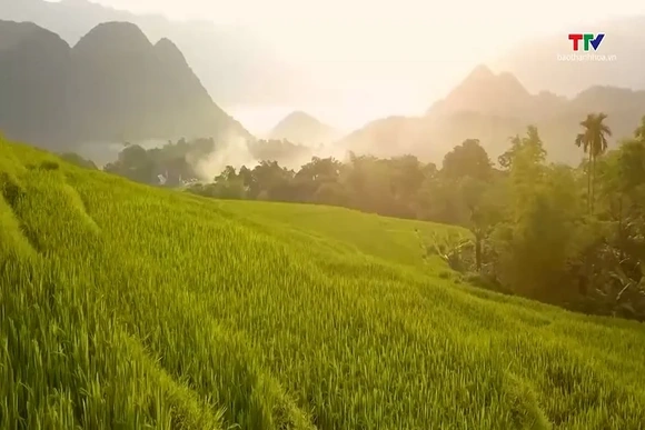 Du lịch dịp lễ 2/9: Tour ngắn ngày thu hút khách| Báo Thanh Hóa
