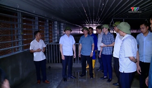 Phó Chủ tịch UBND tỉnh Cao Văn Cường kiểm tra tiến độ các dự án chăn nuôi