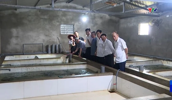 Giám sát việc tích tụ, tập trung đất đai để phát triển nông nghiệp