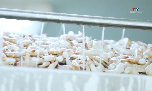 Ngành thủy sản khai thác động lực tăng trưởng từ thị trường nội địa