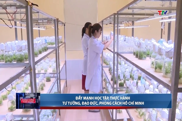 Phòng chống tham nhũng ngày 25/8/2026