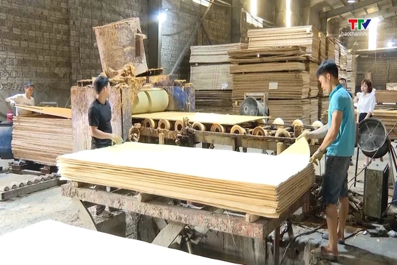 Thu ngân sách nhà nước 8 tháng ước đạt 80% dự toán