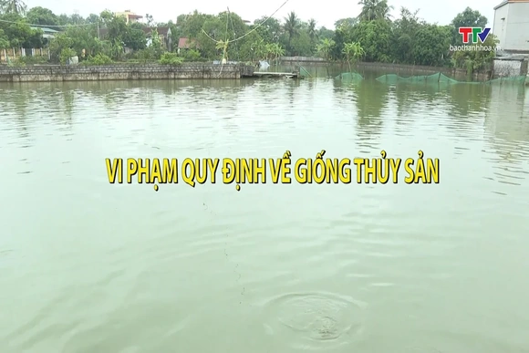 Khuyến nông ngày 4/9/2026