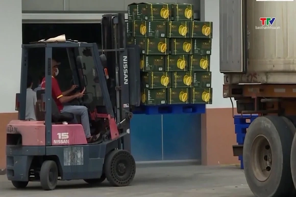 Xuất khẩu nông, lâm, thủy sản 8 tháng năm 2026 đạt gần 49,3 tỷ USD