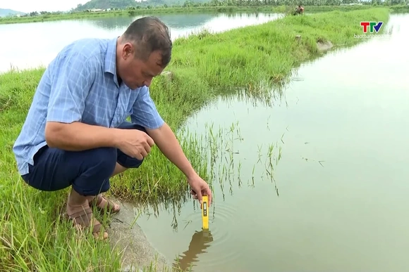 Những lưu ý chăm sóc thủy sản mùa mưa bão