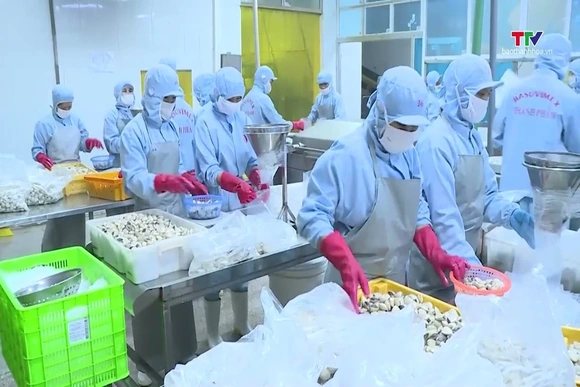 Bức tranh nhiều điểm sáng của xuất khẩu nông sản