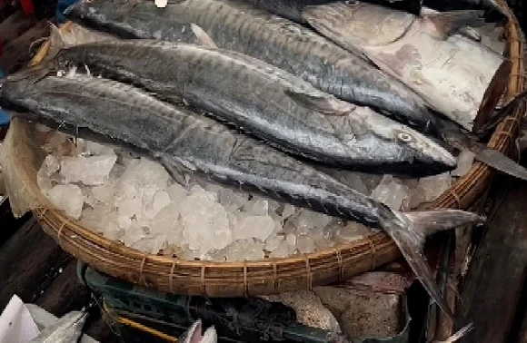 Phiên chợ hải sản Nam Sầm Sơn