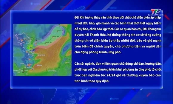 Chủ động ứng phó với áp thấp nhiệt đới và gió mạnh trên biển