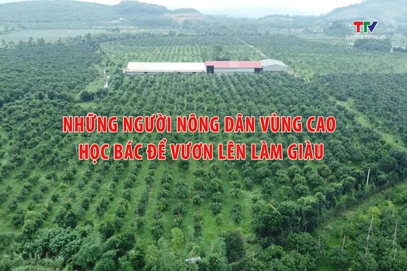 Học tập và làm theo tư tưởng, đạo đức, phong cách Hồ Chí Minh ngày 12/9/2026