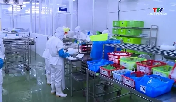 Xuất khẩu thủy sản dự kiến vượt mốc 12 tỷ USD