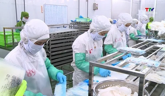 Quý 4/2026: Phép thử lớn đối với xuất khẩu thủy sản