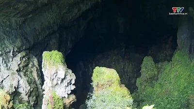 Đề nghị tạm dừng đưa khách vào Hang Dơi do nguy cơ đất đá rơi