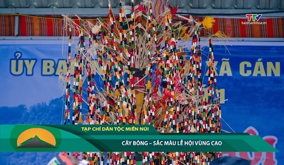 Chuyên mục Dân tộc miền núi ngày 13/9/2026: Cây bông - Sắc màu lễ hội vùng cao
