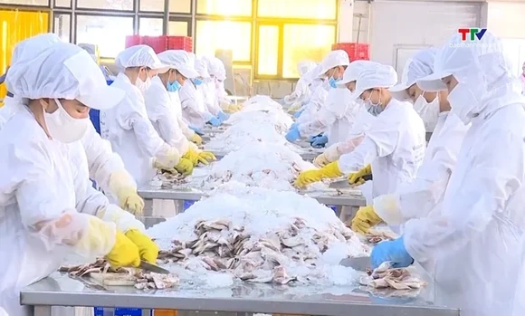 Thanh Hóa nằm trong nhóm dẫn đầu thực thi hiệu quả các FTA để mở rộng xuất khẩu