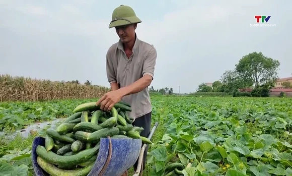 Ứng dụng công nghệ trong chế biến, bảo quản nông sản