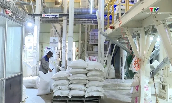 Giá gạo xuất khẩu ổn định