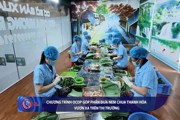 Bản tin Tài chính - Thị trường ngày 20/8/2026