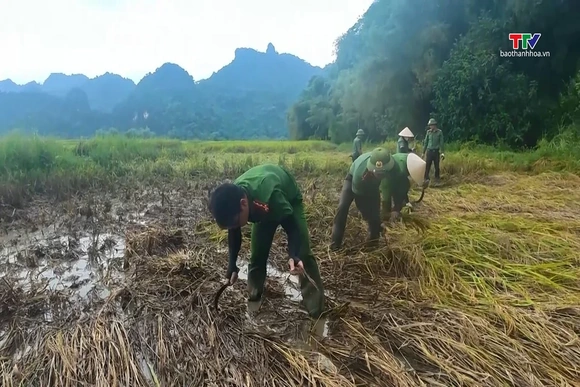 Công an Thanh Hóa chung tay giúp dân khắc phục hậu quả mưa lũ