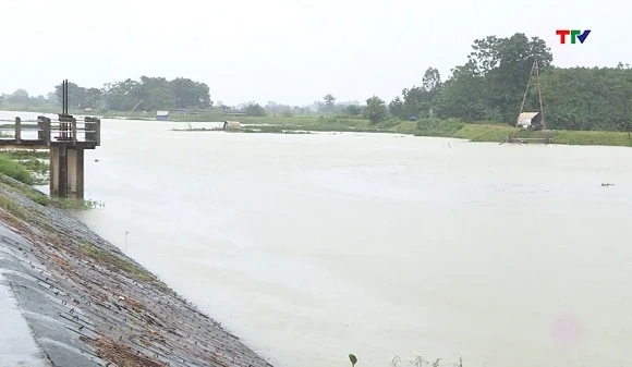 Chủ động tiêu úng khi có mưa lớn