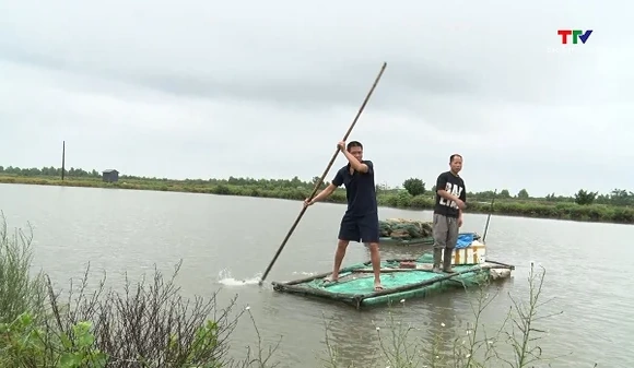 Ứng phó với mưa lớn tại các vùng nuôi trồng thủy sản