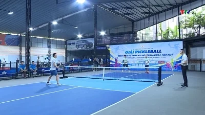 Giải Pickleball Doanh nhân trẻ tỉnh Thanh Hóa mở rộng lần thứ 3 năm 2026