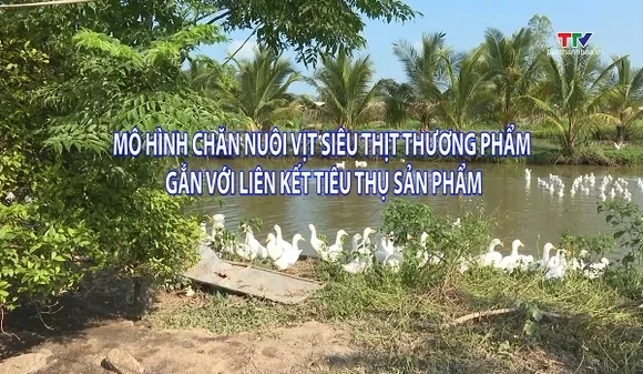 Khuyến nông ngày 15/9/2026