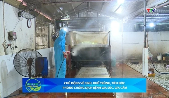 Bản tin Nông nghiệp – Nông thôn ngày 16/9/2026