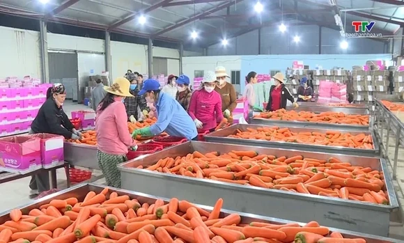Xuất khẩu rau quả của Việt Nam có thể đạt 10 tỉ USD trong năm 2026